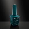 Picture of CHAUN LEGEND GEL POLISH-GOT FUNDS? LG5235