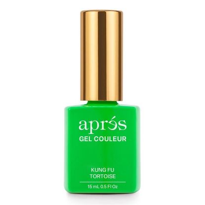 Picture of APRES GEL COULEUR - KUNG FU TORTOISE AP-5GCHF203-NP HEMA TPO FREE