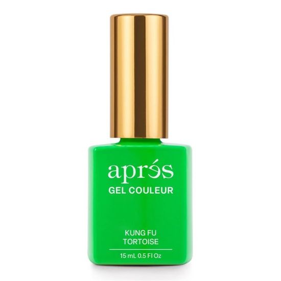 Picture of APRES GEL COULEUR - KUNG FU TORTOISE AP-5GCHF203-NP HEMA TPO FREE