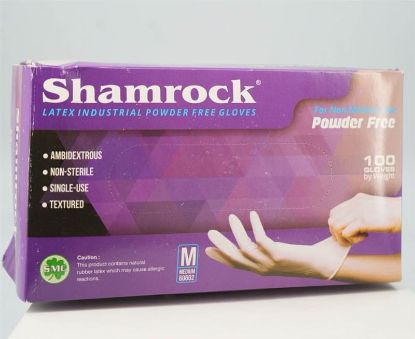 Picture of SHAMROCK GLOVES M LATEX POWDER FREE DISPOSABLE GLOVES 1 SINGLE BOX 100 PCS 1 BOX