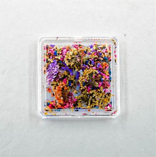 Picture of FASHION JEWELRY DRIED FLOWERS STYLE 3