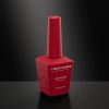 Picture of CHAUN LEGEND GEL POLISH-IN TINA WE LUST LG5215