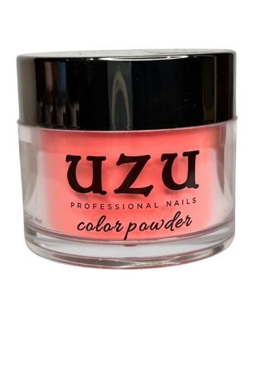 Picture of UZU POWDER 113