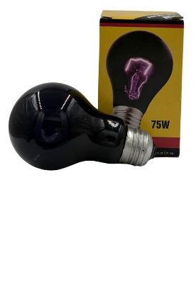 Picture of STANDARD BLACK LIGHT BULB - 75W 120V