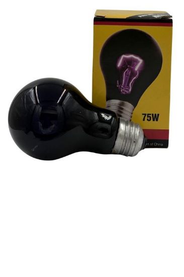 Picture of STANDARD BLACK LIGHT BULB - 75W 120V